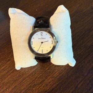 Skagen Silver Dial Watch with Black Strap
